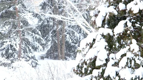 Snowing hard Stock Footage 101892532