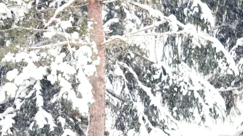 Snowing hard Stock Footage 101892794