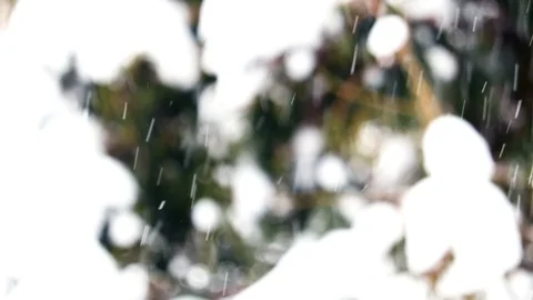 Snowing hard Stock Footage 101893058