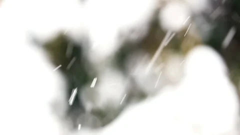Snowing hard Stock Footage 101893106