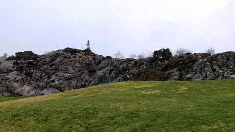 Snowing Heavly, Green Grass and Syrian Horse Stock Footage 101681553