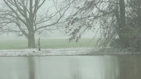 Snowing lightly on a lake - 4K. Stock-Footage 265499375