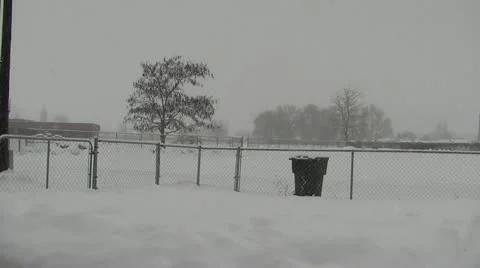 SNOWING lightly in yard. Stock Footage 18156626