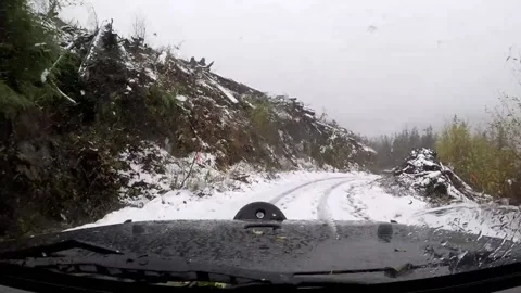 Snowing in the logging cut Vídeo Stock 172564823