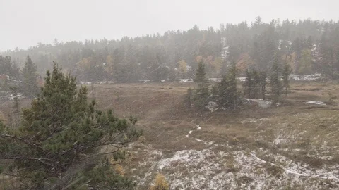 Snowing at a marsh Stock Footage 100137335