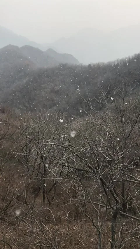 Snowing in the morning Stock Footage 153148186