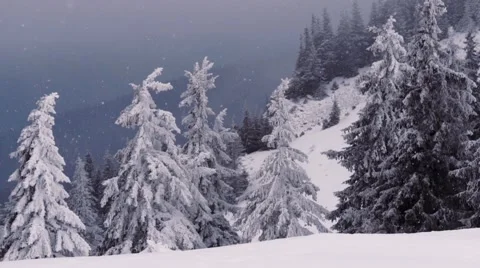 Snowing on the mountain Stock Footage 61416414