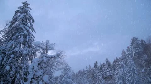 Snowing mountain forest scenes Stock Footage 10818644