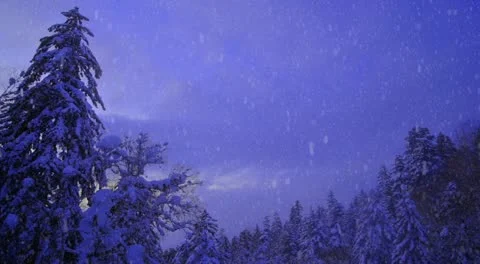 Snowing mountain forest scenes 스톡 동영상 10819877