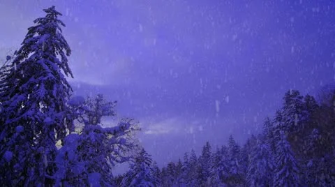 Snowing mountain forest scenes 스톡 동영상 10819960
