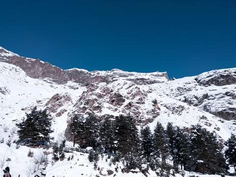 Snowing mountain with trees Stock Photos