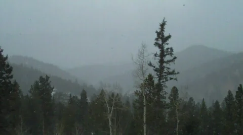 Snowing in the mountains Stock Footage 595978