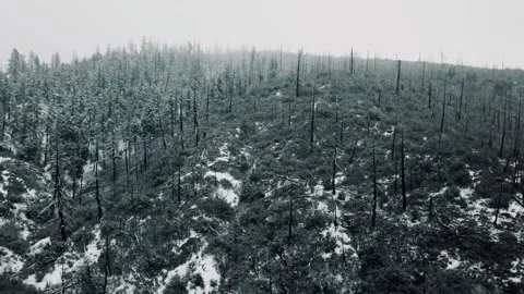 Snowing in the mountains  hover Stock Footage 271313523