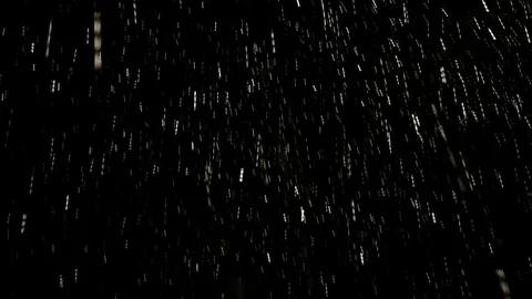 Snowing in the night Stock Footage 101724240