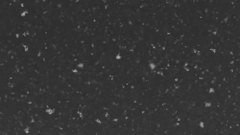 Snowing in the night (loop) Stock Footage 153419587