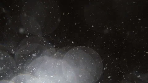 Snowing at night slow motion Stock Footage 170087149