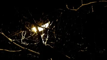 Snowing at night under the dim light of a street lamp Stock Footage 85673327