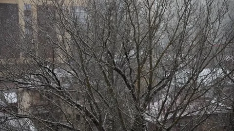 Snowing outside against backdrop of multi-story building, urban landscape Stock Footage 258150516