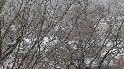 Snowing outside against backdrop of multi-story building, urban landscape Stock Footage 258150576