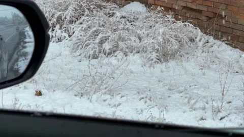 Snowing outside Car Window as it rolls down Vídeos de archivo 150877296