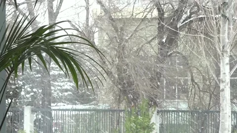 Snowing outside view from the house window Stock Footage 234079714