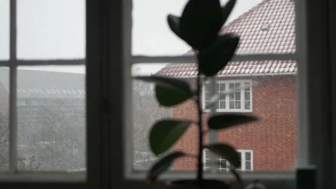 Snowing outside the window Stock Footage 148081699
