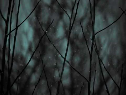 Snowing over tree branches Stock Photos