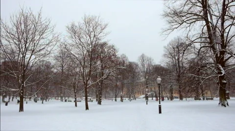 Snowing in the park Stock Footage 46511234