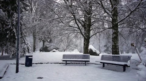 Snowing in park Stock Footage 57322111