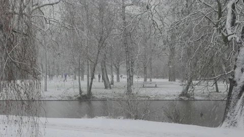 Snowing in a park 스톡 동영상 83987646