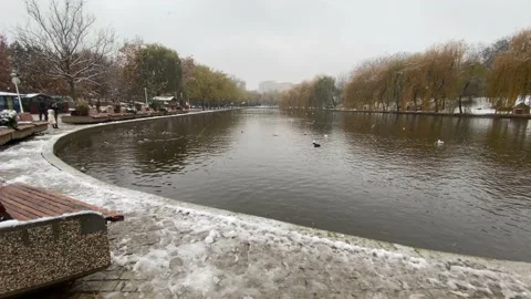 Snowing in the park 库存影片 144110131