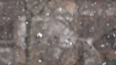 Snowing in park Vídeos de archivo 172077422