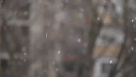 Snowing in park Vídeos de archivo 178489283