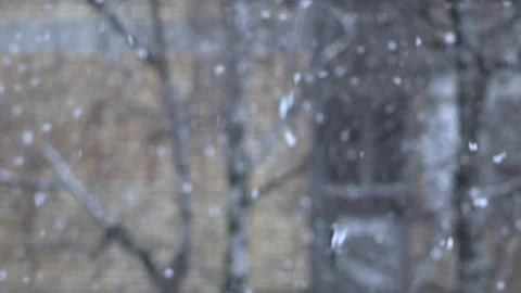 Snowing in park 스톡 동영상 178491894