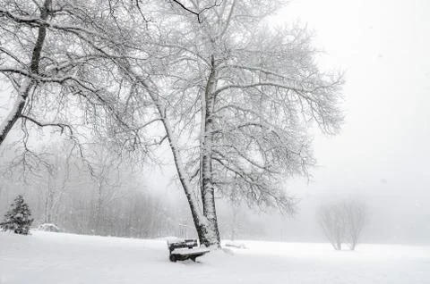 Snowing in a park Stock Photos