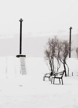 Snowing Stock Photos