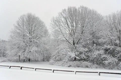 Snowing Stock Photos
