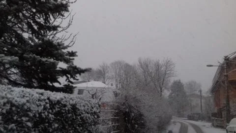 Snowing Stock Photos