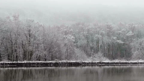 Snowing with pond and trees in background Video stock 146701047