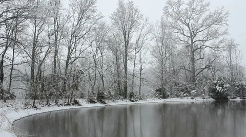 Snowing on Pond Stock Footage 1013171