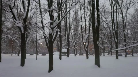 Snowing in the public park Stock Footage 228753462