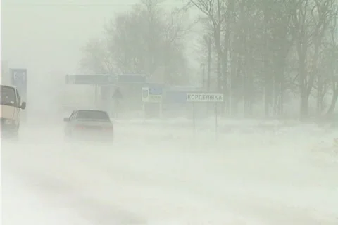Snowing on road Stock Footage 1100406