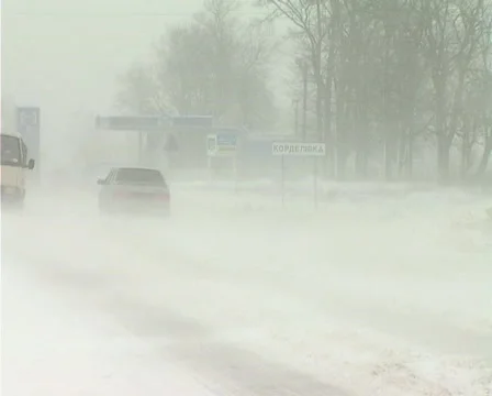 Snowing on road Vídeos de archivo 1100408