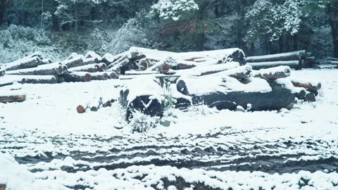 Snowing in a Sawmill 1 Видео 133687072