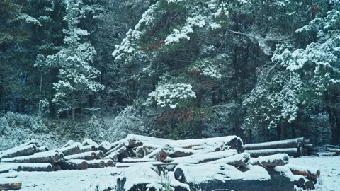 Snowing in a Sawmill 3 Видео 133687064