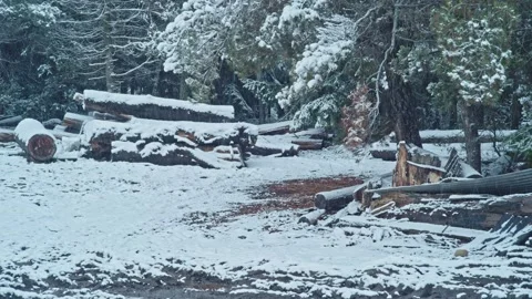 Snowing in a Sawmill 4 Видео 134305157