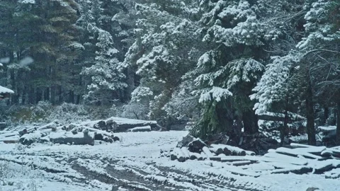 Snowing in a Sawmill 6 Видео 134305088