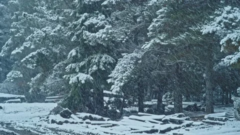 Snowing in a Sawmill 7 Видео 134305169