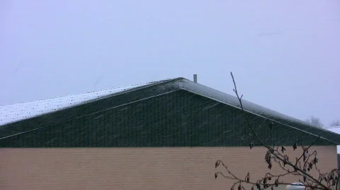 Snowing Scene 2 Video stock 354452