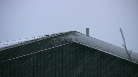 Snowing Scene 3 Video stock 354460